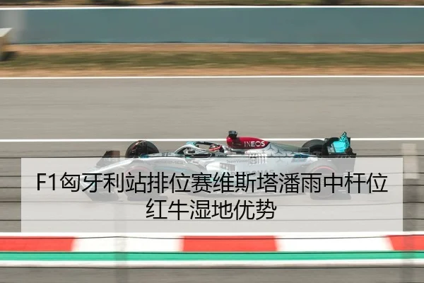 F1匈牙利站排位赛维斯塔潘雨中杆位红牛湿地优势