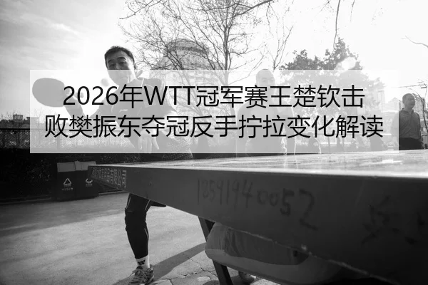 2026年WTT冠军赛王楚钦击败樊振东夺冠反手拧拉变化解读