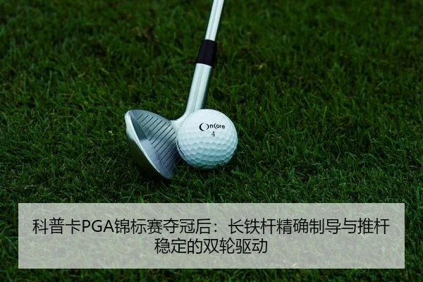 ke-pu-ka-jin-biao-sai-duo-guan-hou-zhang-tie-gan-jing-que-zhi-dao-yu-tui-gan-wen-ding-de-shuang-lun-qu-dong-2-343.jpg